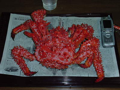 DSC00100.JPG