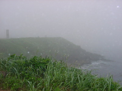 DSC00113.JPG