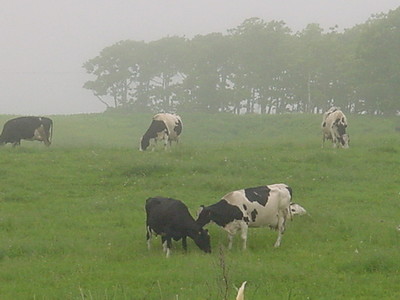 DSC00117.JPG