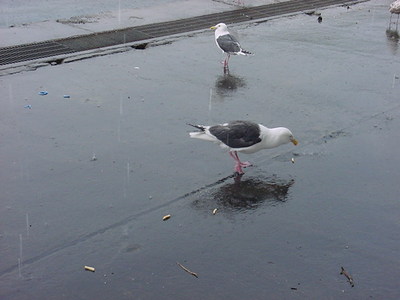 DSC00144.JPG