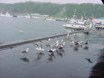 DSC00146.JPG