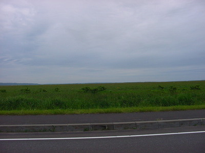 DSC00174.JPG