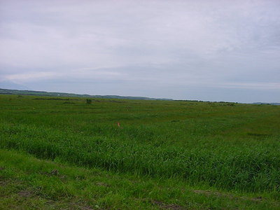 DSC00175.JPG