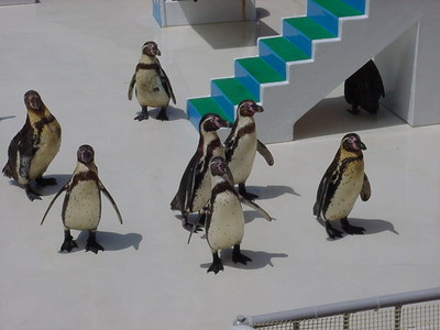DSC00189.JPG