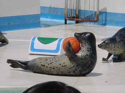 DSC00191.JPG