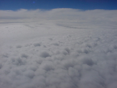 DSC00204.JPG